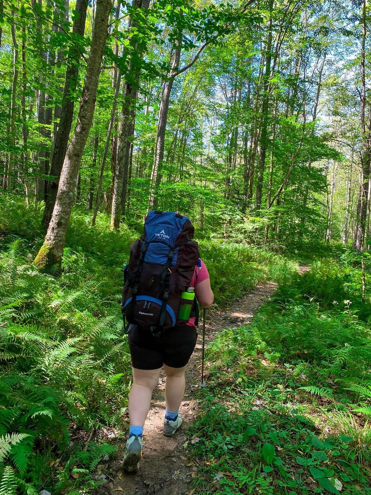 Teton 75L Explorer Internal Frame Backpack for Hiking, Camping, Backpacking, Rain Cover Included, Olive customer photo 2