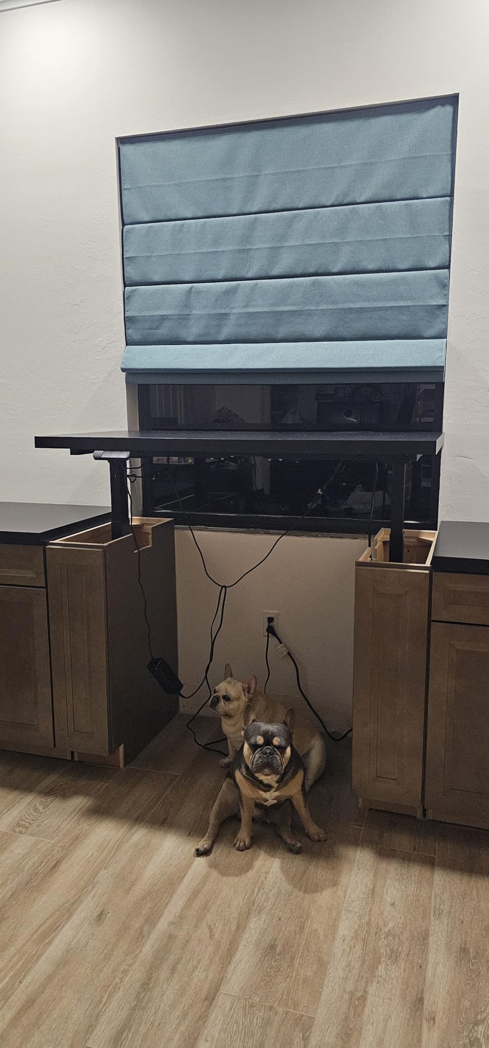 TOPSKY 3-Stage Dual Motor Standing Desk Frame, 300 lb Capacity customer photo 1