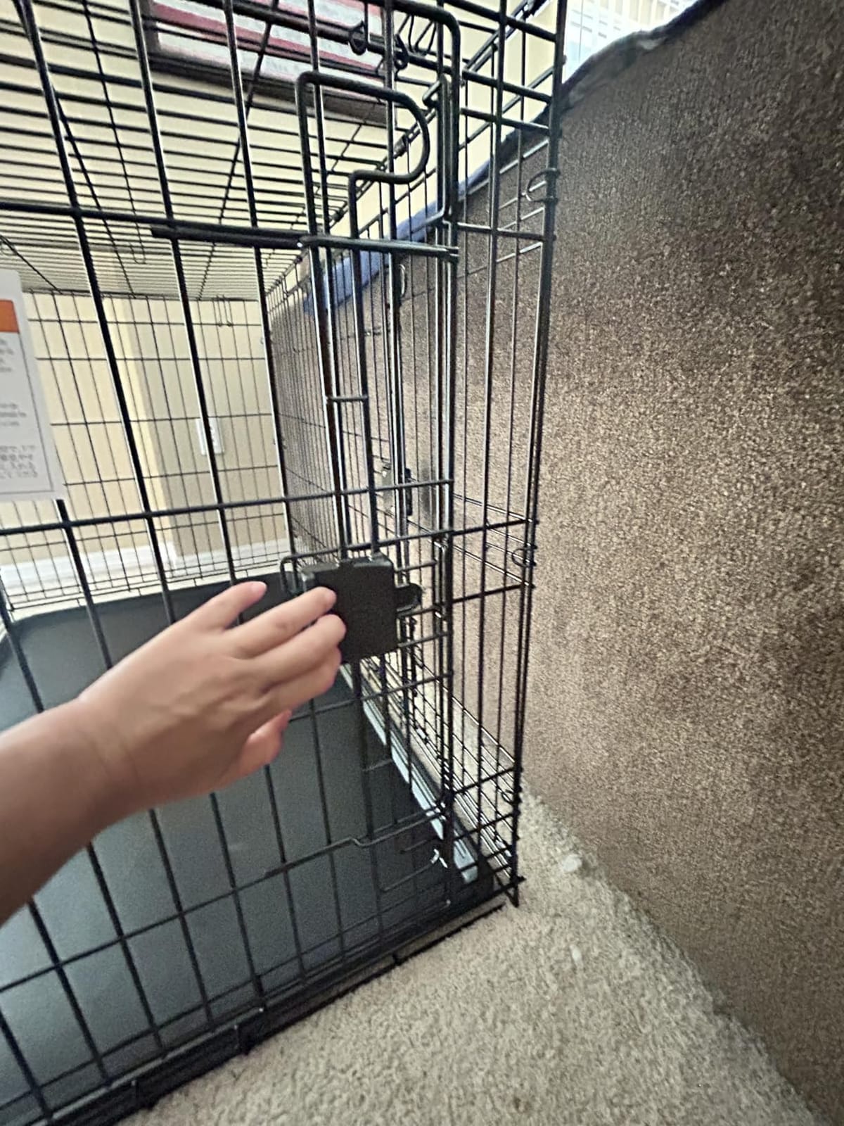 Amazon Basics Portable, Easy to Assemble, Foldable Metal Wire Dog Crate with Removable Tray, Double Door, Divider Panel, Handle, 36