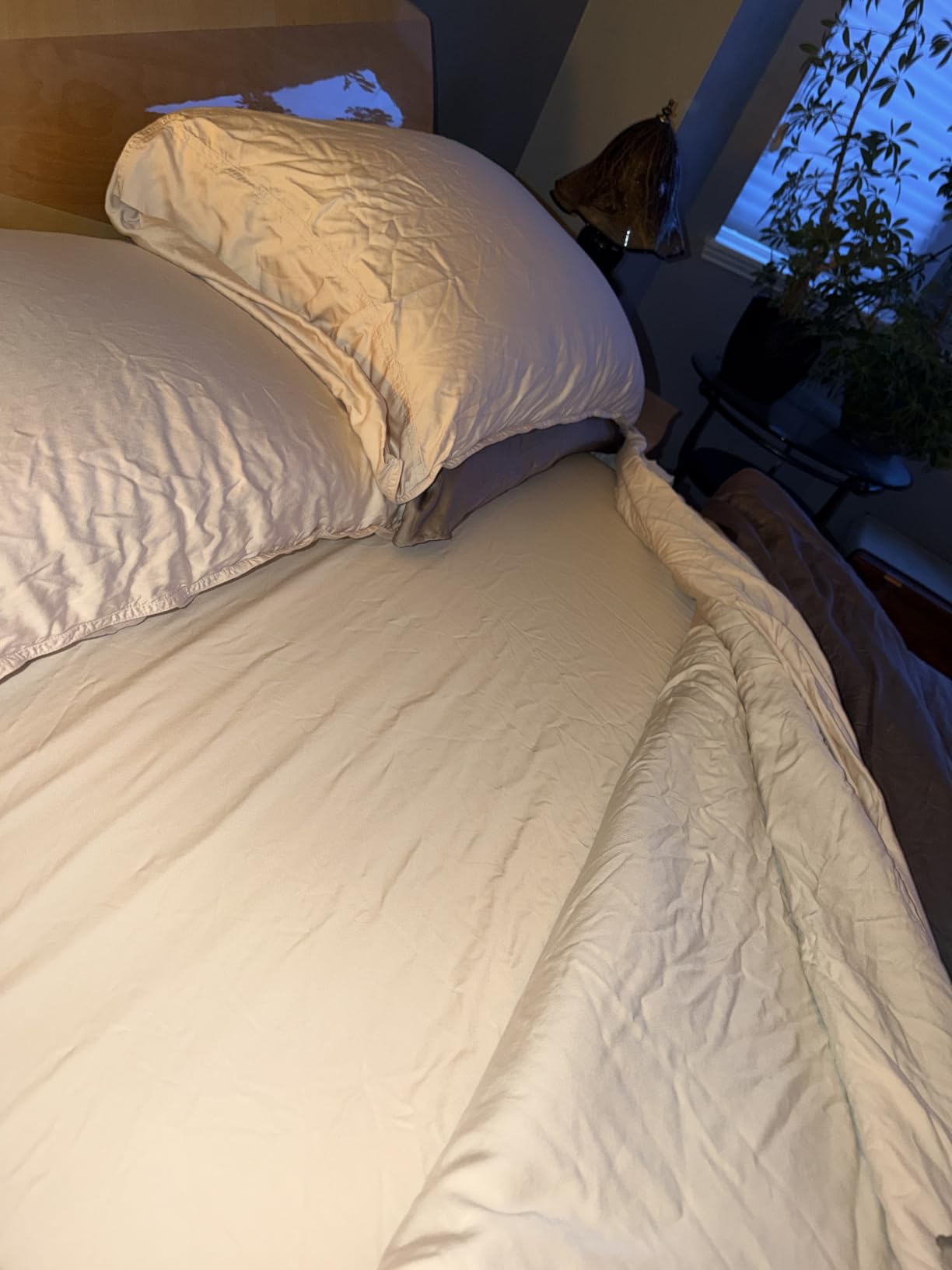 Bella Coterie Luxury Bamboo Viscose King Size Sheet Set customer photo 2