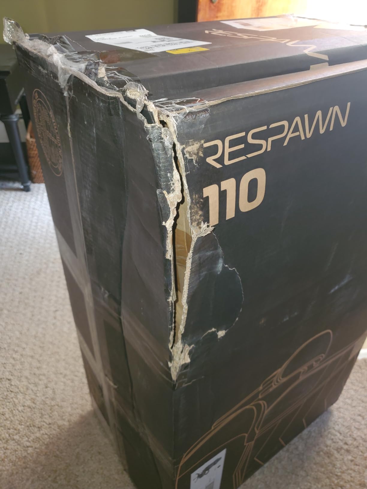Respawn 110 Pro Ergonomic Gaming Chair with Footrest and Recline customer photo 2