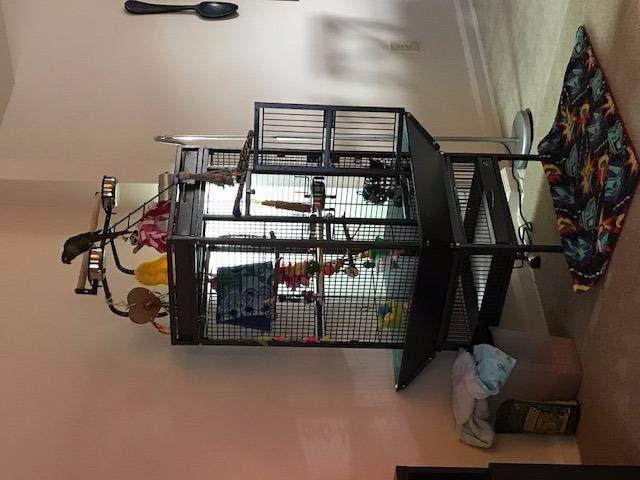 Prevue Pet Playtop Bird Cage Rolling Stand Seed Guards - Blush Finish customer photo 2