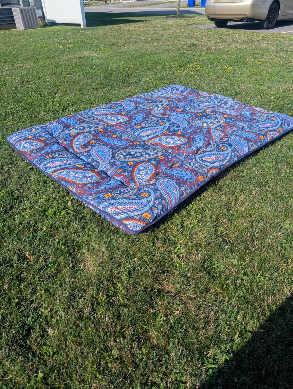 Zelladorra Japanese Floor Mattress, Futon Mattress | Roll Up Tatami Mat with Portable Storage Bag and Washable Cover, Suitable for Camping, Guest Room, Green customer photo 2