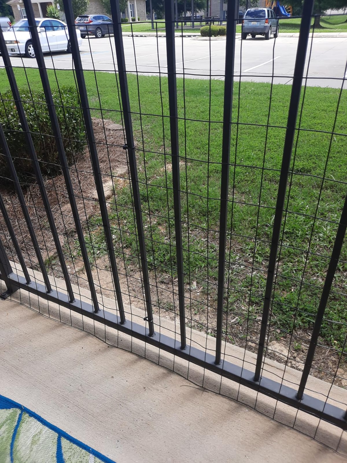 Black PVC Coated Welded Wire Fence 36