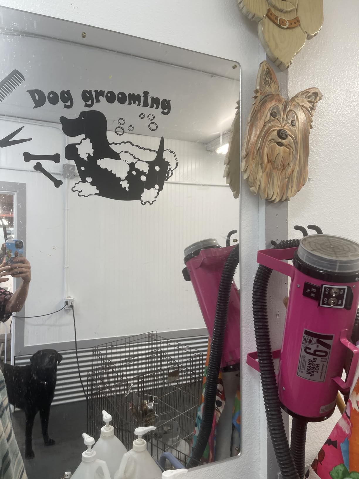 Electric Cleaner Company K9 II Dog Blow Dryer - High Power Grooming Dryer, Heavy Duty, 10' Hose, Deshedding (Red) customer photo 1