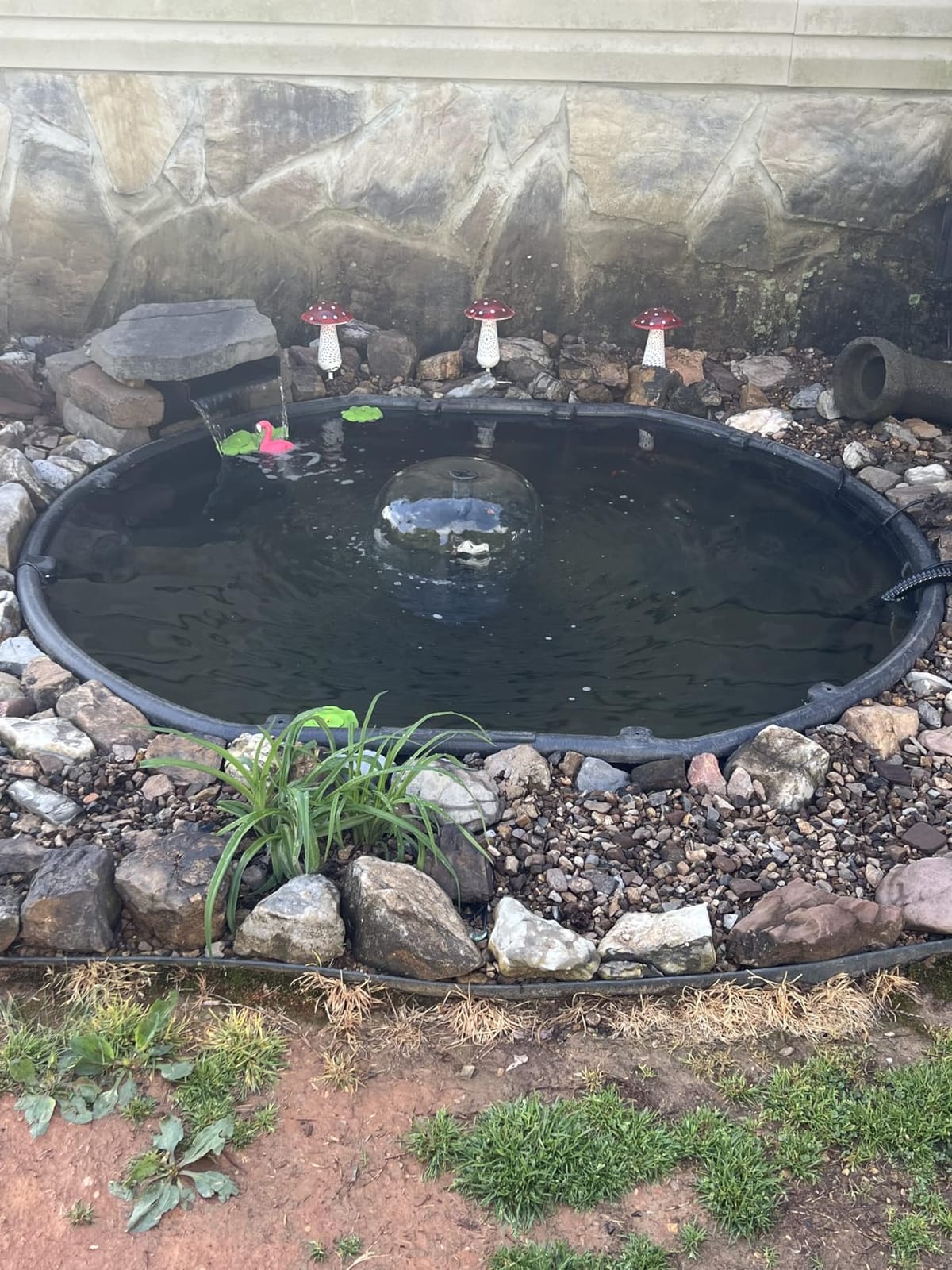 VIVOGROW Bio Pressure Pond Filter, with 13W UV-C Light, 1050 GPH Suitable for Koi Ponds up to 500 Gallons or Landscape Pools up to 1050 Gallons customer photo 2