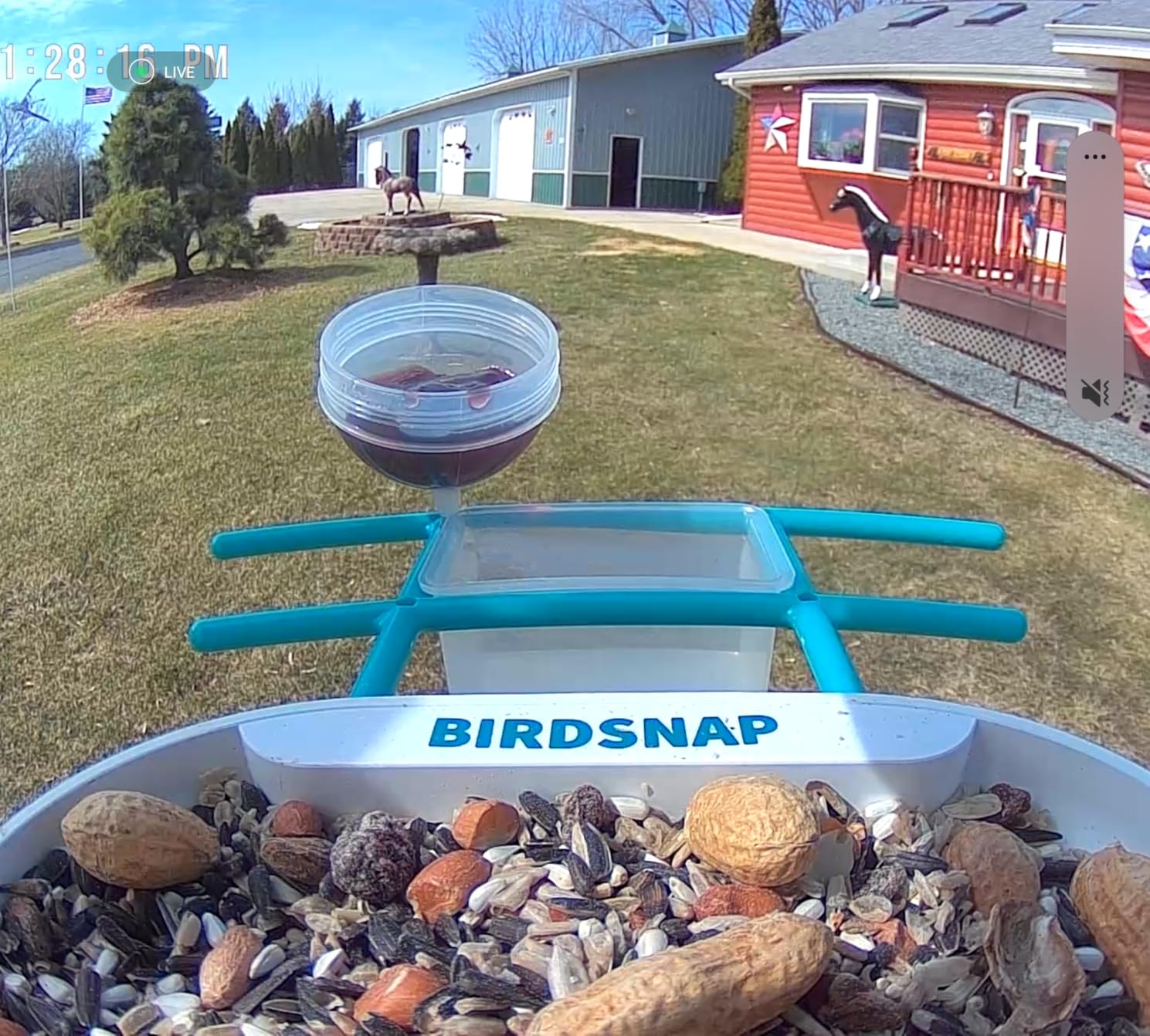 birdsnap TUC Bird Feeder with Camera Solar Powered 2K Video with 32GB Card, AI Bird Species Identification, Squirrel-Proof, IP65 Waterproof, Outdoor Wireless, 2.4G WiFi customer photo 2