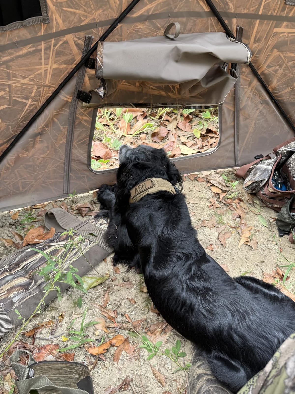 TIDEWE Duck Hunting Blind, Portable Duck Panel Blind, Next Evos Camo customer photo 2