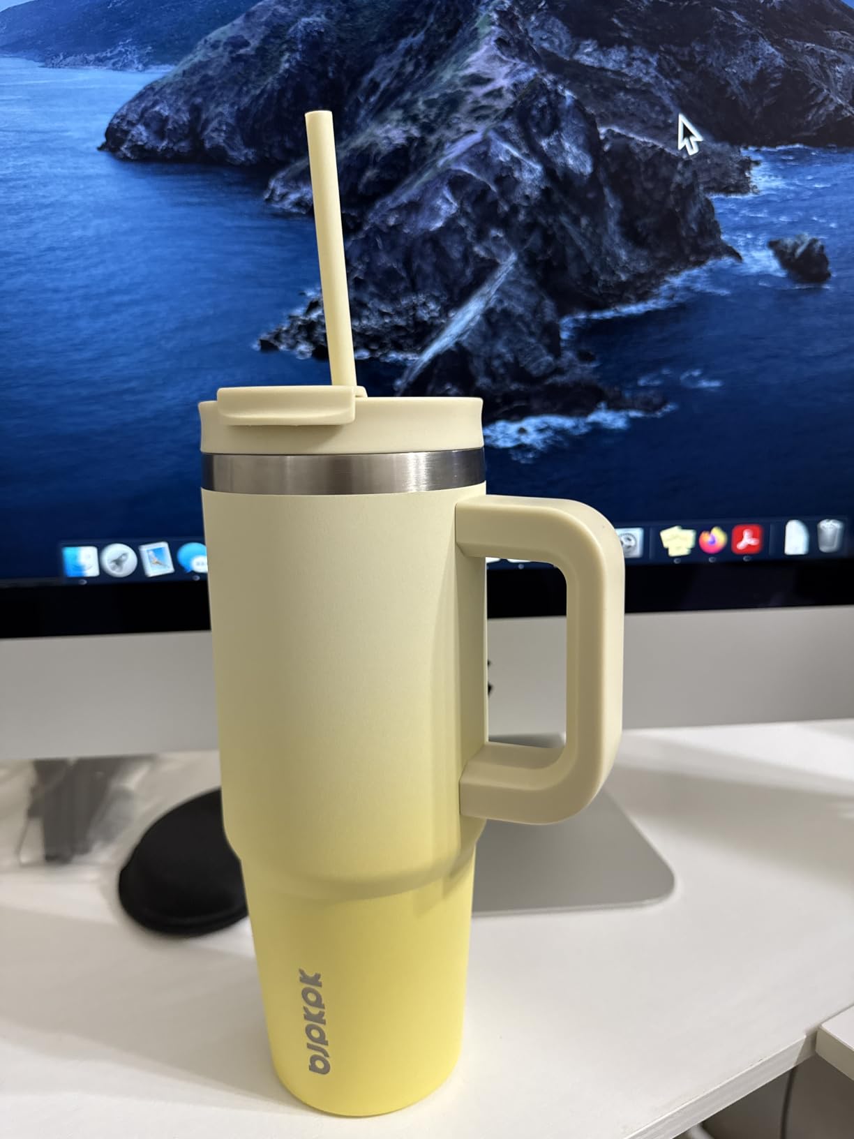 BJPKPK 40 oz Insulated Tumbler with Handle & Straw, Stainless Steel customer photo 1