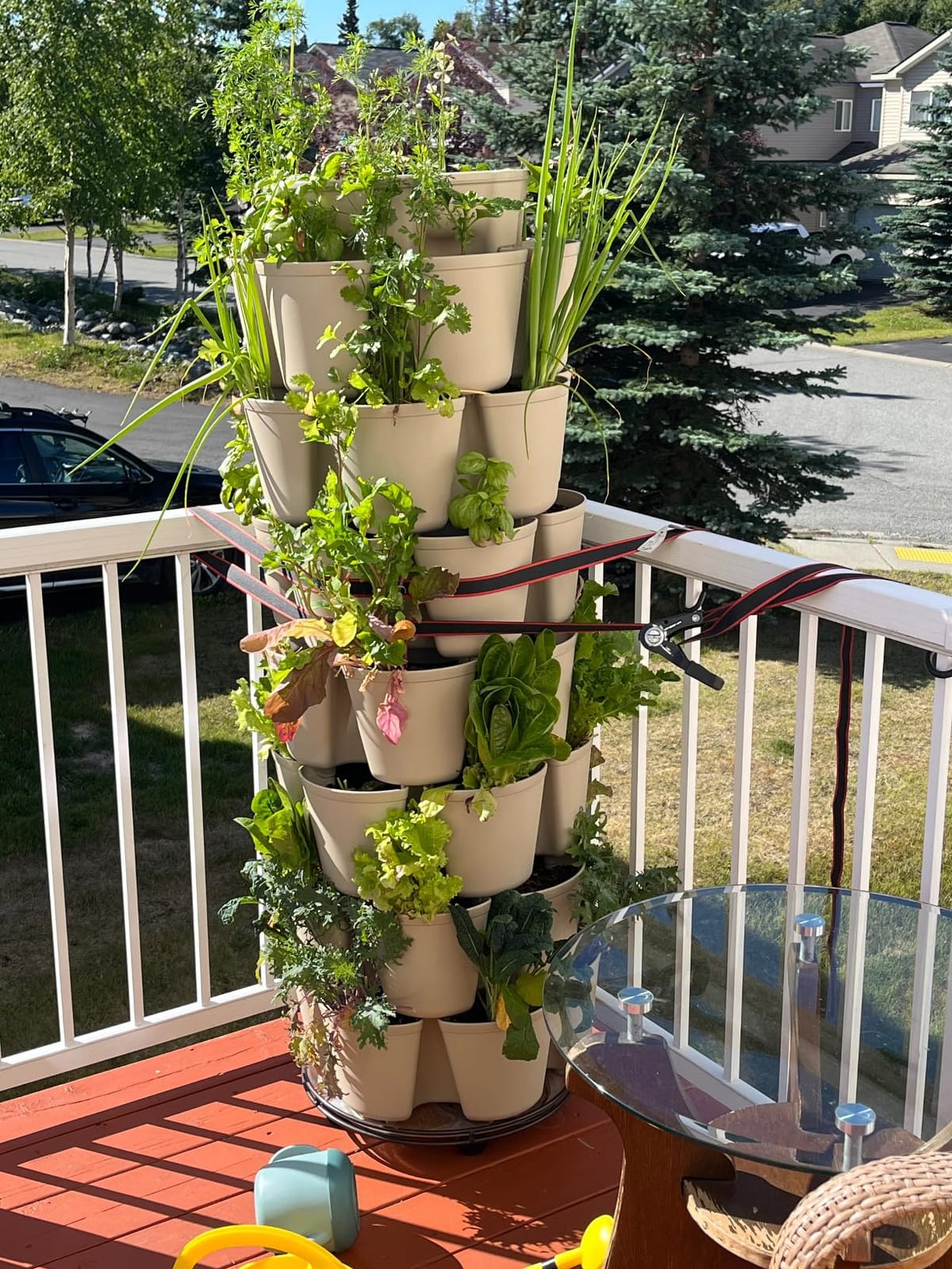 Greenstalk 7 Tier Leaf Vertical Planter for Growing Strawberries, Vegetables, Herbs & Flowers (Evergreen) customer photo 1