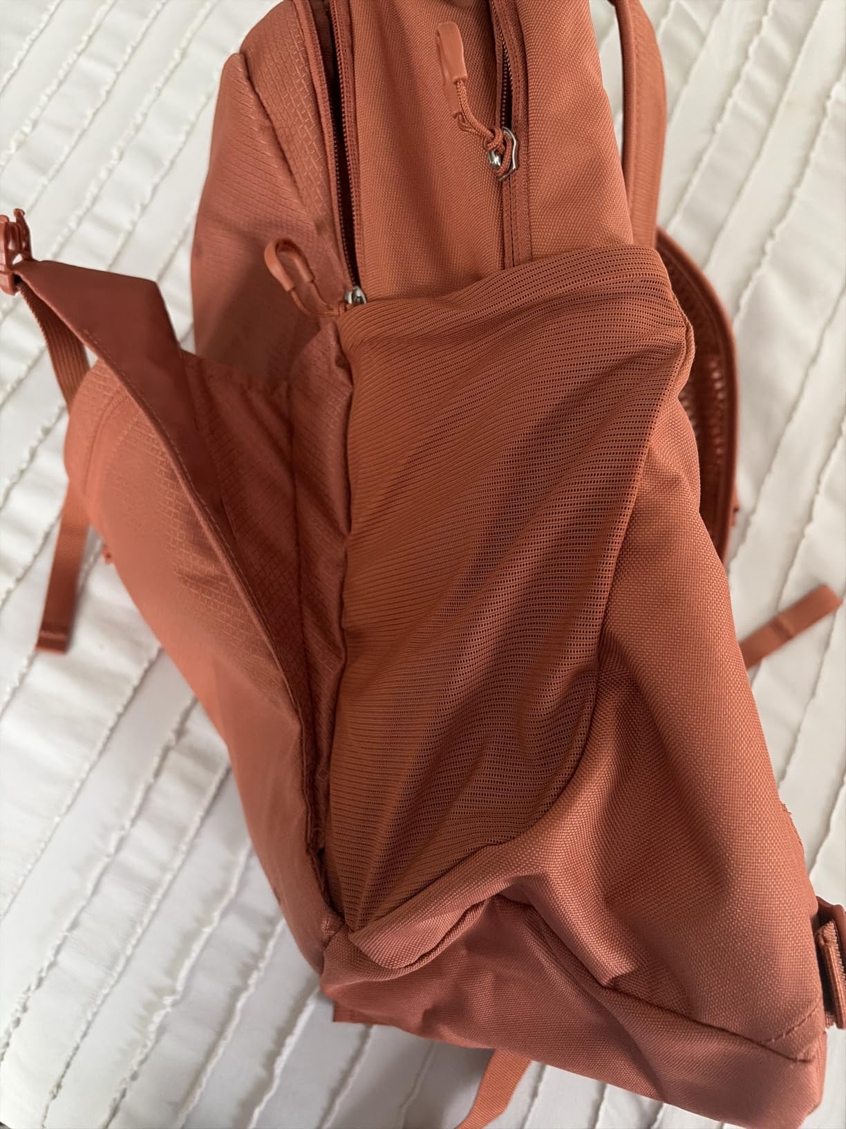 Osprey Daylite Plus Commuter Backpack, Tan OS customer photo 2