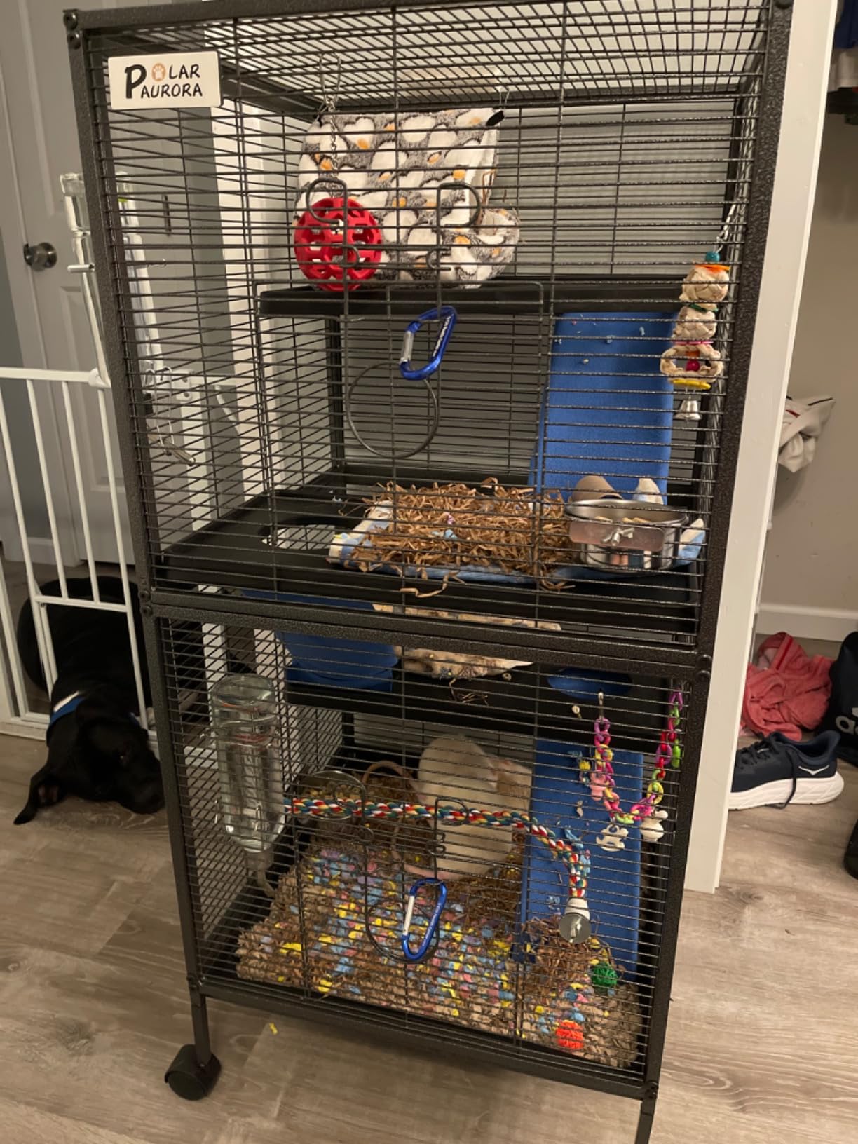 Polar Aurora Metal Small Animal Cage, 59