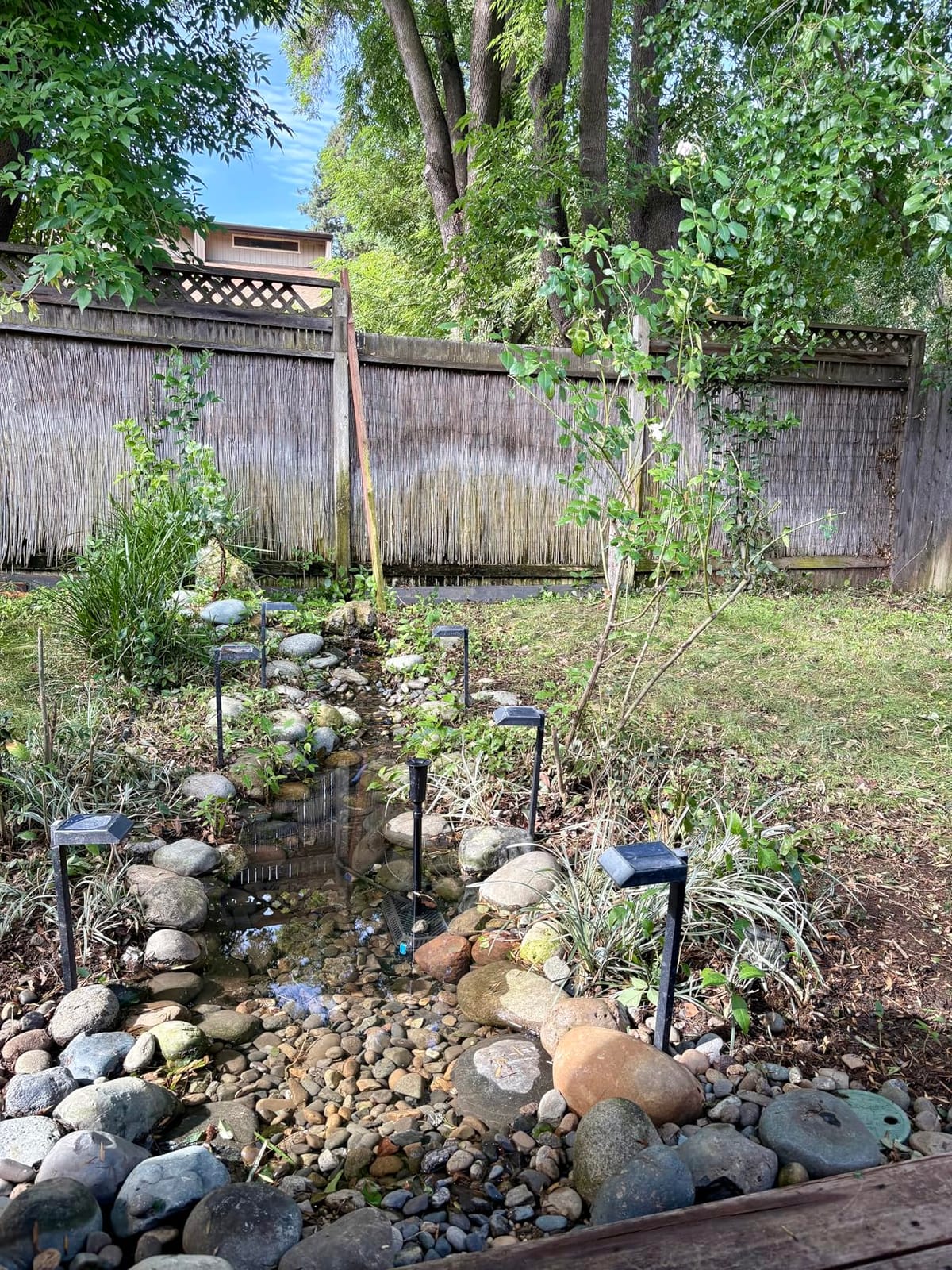 POPOSOAP Pond Filter with Pump Fountain Kits, 660GPH Pond Filter with 40W Pond Pump & Fountain Kit, Koi Pond Filters for Outdoor Ponds Clean, Clear, and Add Water Features(Corded Electric) customer photo 2