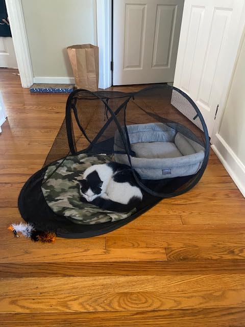 Tailtastic PopUp Cat Tent for Outdoor, Portable Enclosure for Yard & Travel customer photo 1