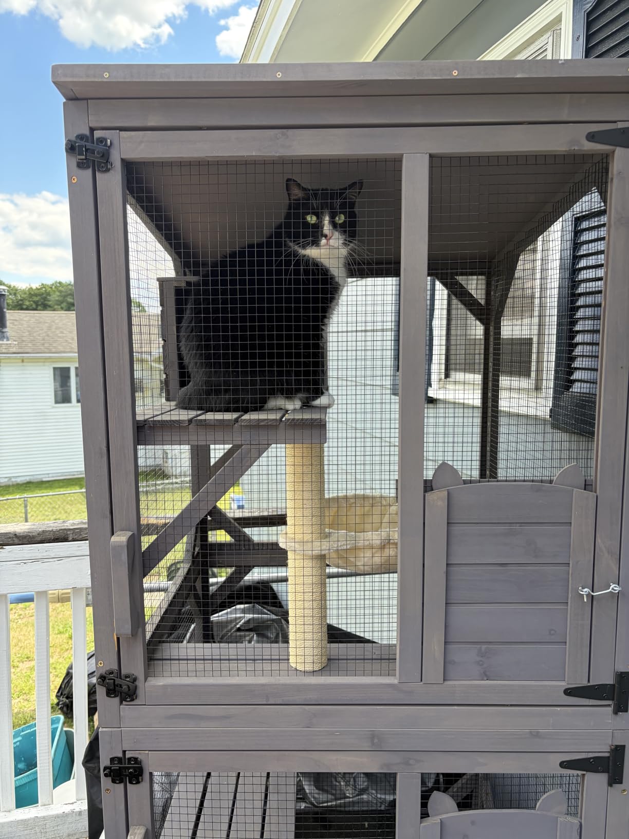 Aivituvin Catio Outdoor Cat Enclosure with 7 Platforms, 2 Resting Boxes, Large Window Cat House for 4-6 Mulitiple Cats Walk in Kitty Cage with Weatherproof Tarp Roof 70
