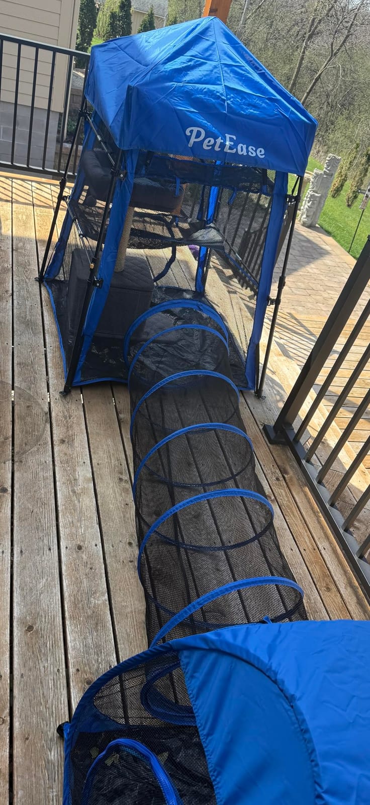 Catio Outdoor Cat Enclosure, 3-in-1 Extra Large Portable Cat Playpen with Tower Tent & Tunnel, Foldable Waterproof Mesh Catio for Indoor Outdoor Cats & Small Pets customer photo 2