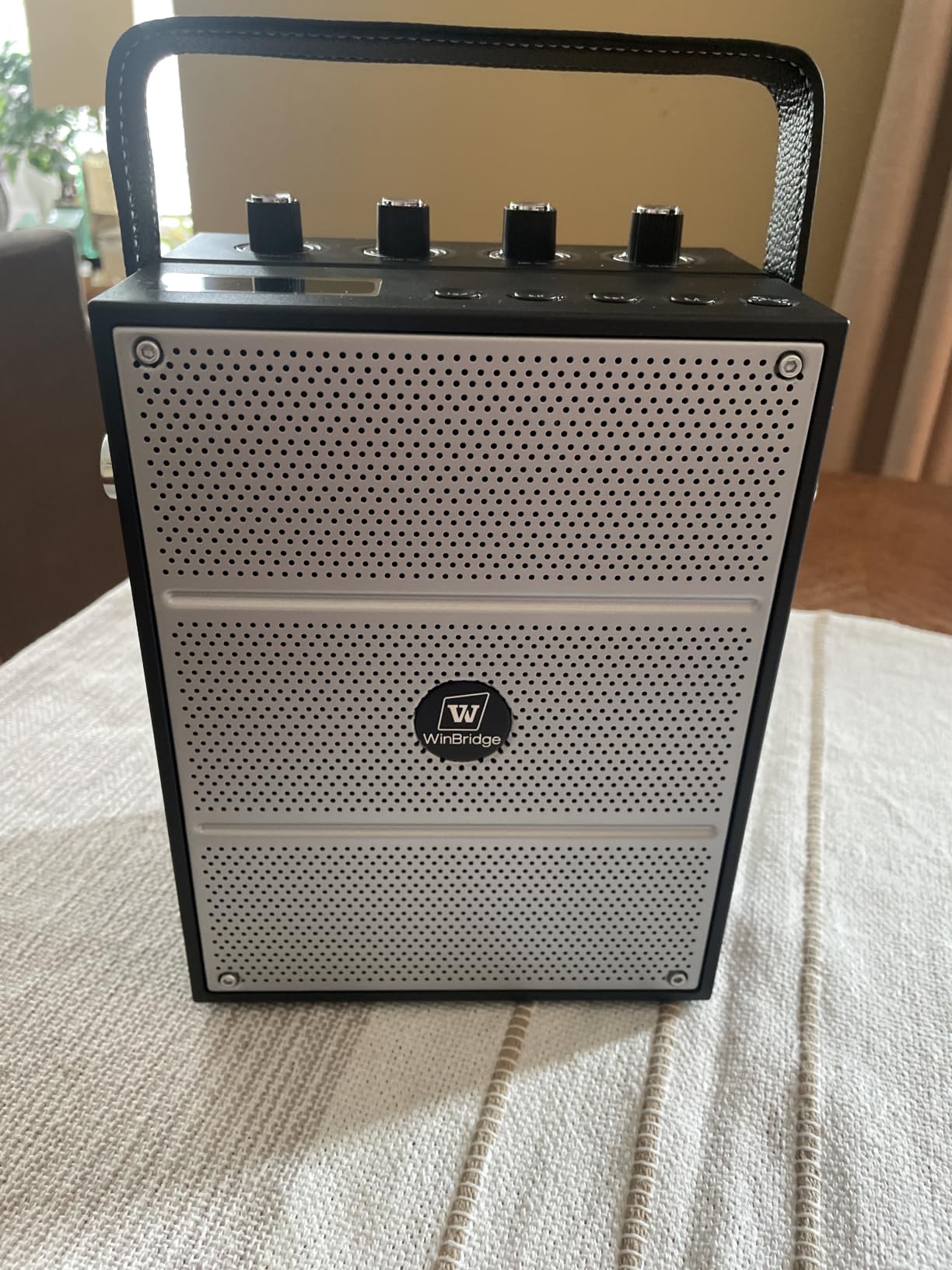 WinBridge S97 60W Powerful Voice Amplifier with Dual Wireless Microphones customer photo 2