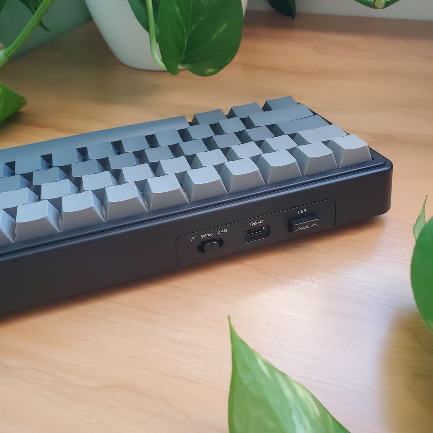EPOMAKER x Aula F65 65% Wireless Hot-Swappable Gasket Mechanical Keyboard customer photo 2