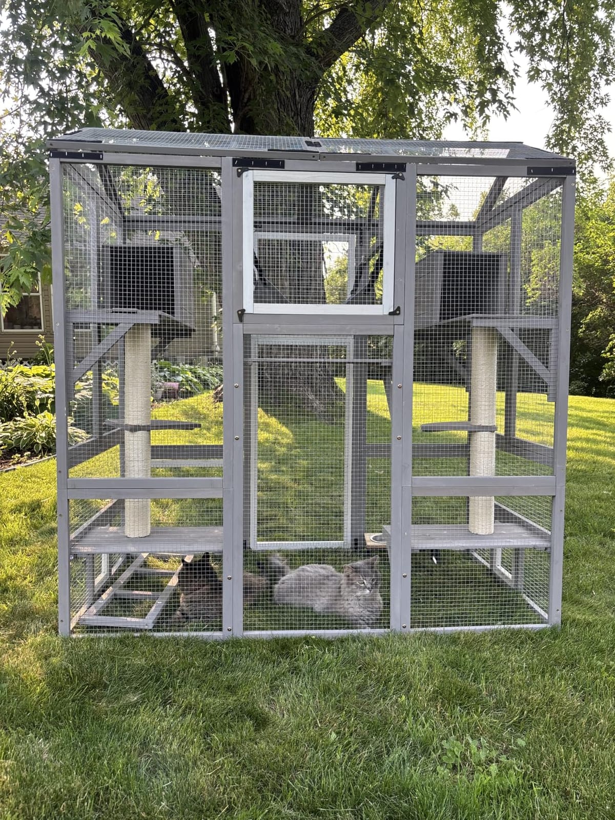Ketive Catio Outdoor Cat Enclosure with Window Access & Weatherproof Roof customer photo 2