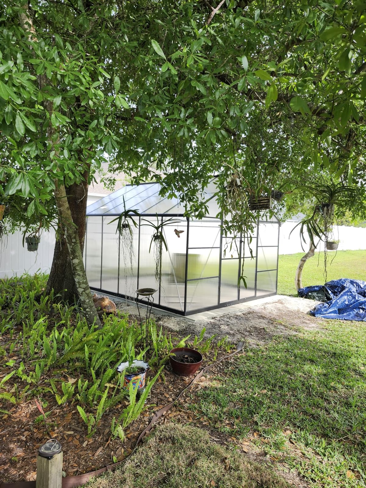 8X10FT Enhanced Aluminum Walk-in Greenhouse for Outdoors with Thermometer | Easy Assembly, UV-Resistant Panel, Rain Gutter, Lockable Hinged Door, Built-in Reinforcement, For Vegetable, Flower and Herb customer photo 2