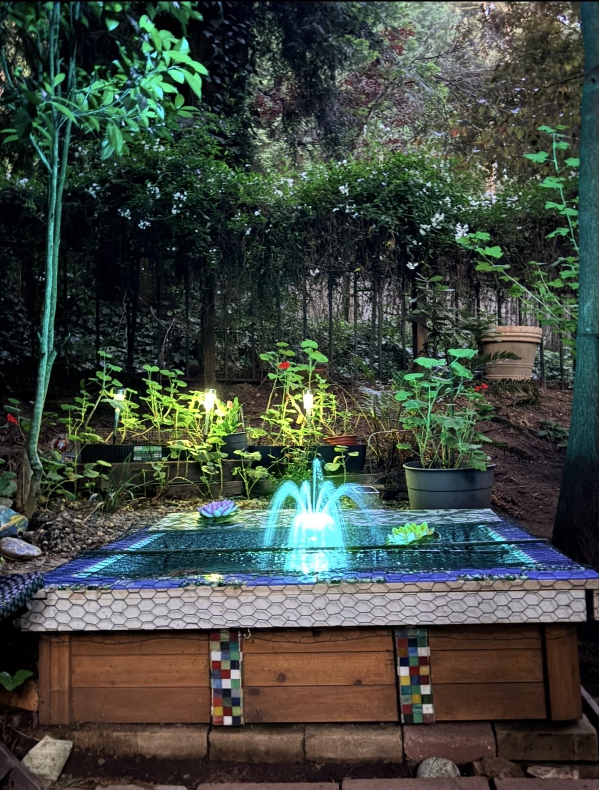 AquaMiracle Pond Filter with Fountain Kits & Remote Control LED Lights customer photo 1