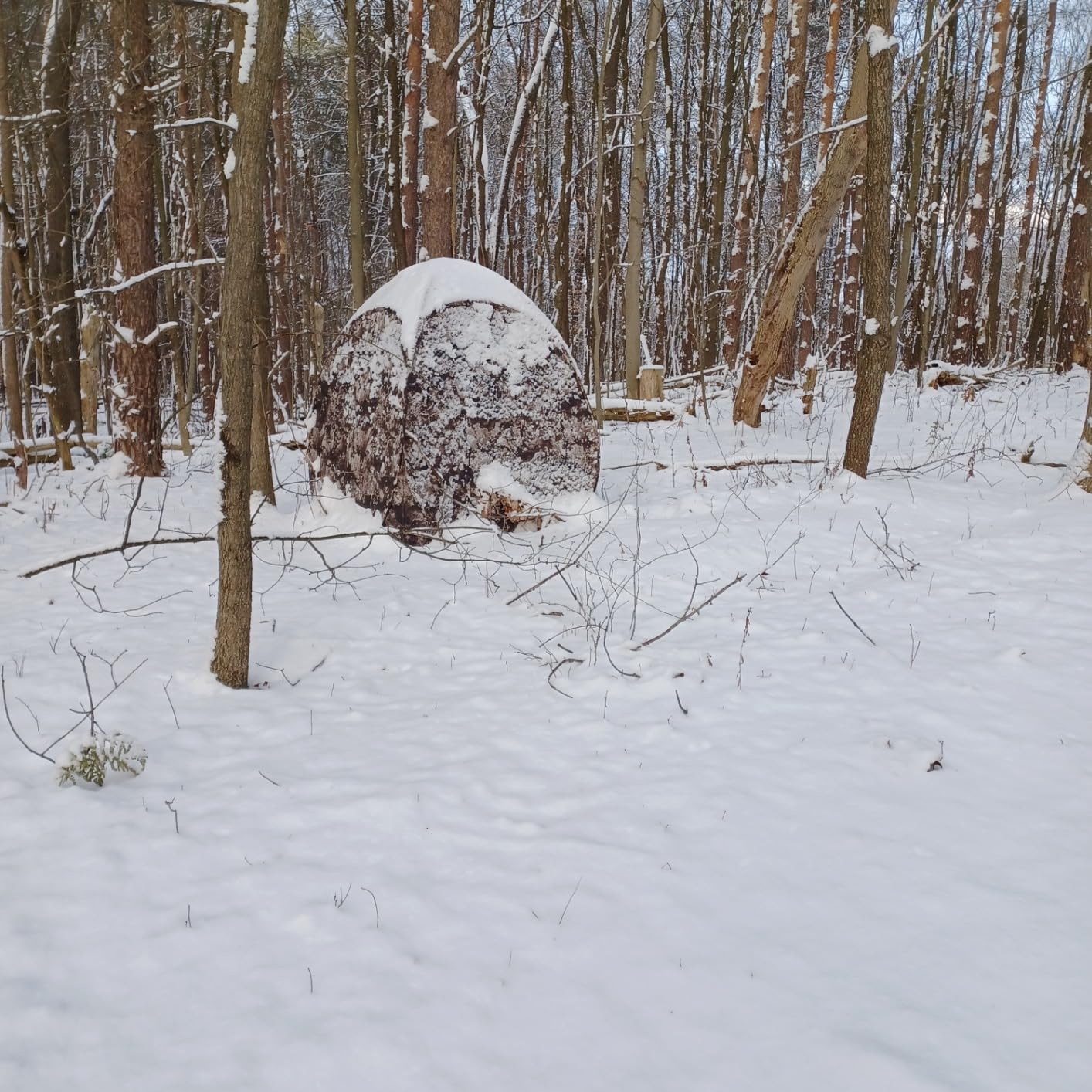 THUNDERBAY Run & Gun Series 1-3 Pereson Pop-Up Ground Blind, Hunting Bilnd for Deer, Turkey Duck Hunting, Bow Hunting customer photo 2