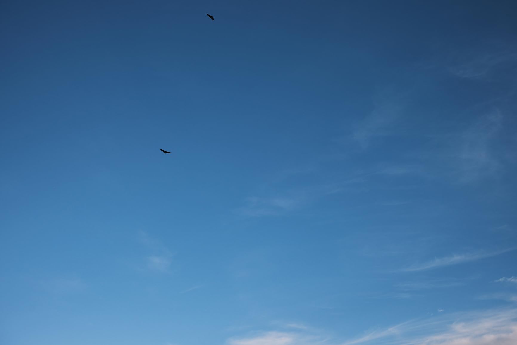 35mm F1.7 E, APS-C AF 35mm f/1.7 Air E Lens for Sony E | Large Aperture Prime Lens customer photo 2