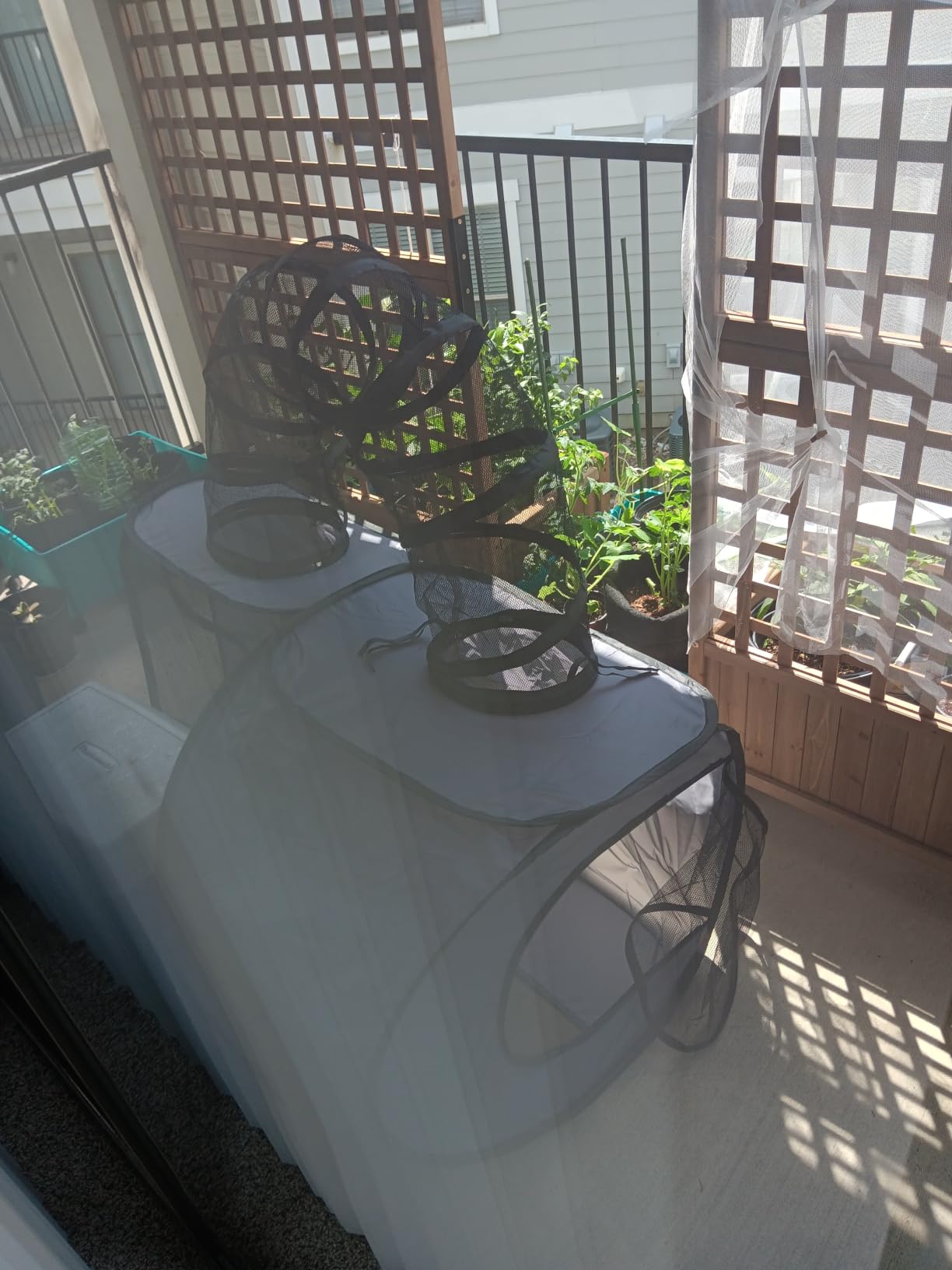 Tailtastic Indoor/Outdoor Cat Playpen with Surround Tunnel 2 Zones Grey customer photo 1