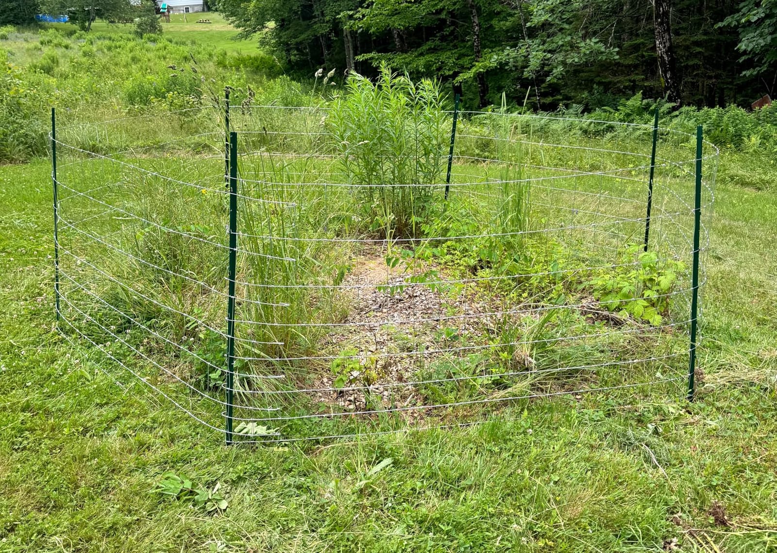 Farm Fence 6ft x 100ft Heavy Zinc Coating Field Wire Fencing, Galvanized Livestock Deer, Goat Fence, Hog Wire Fencing Used to Yard and Garden customer photo 2