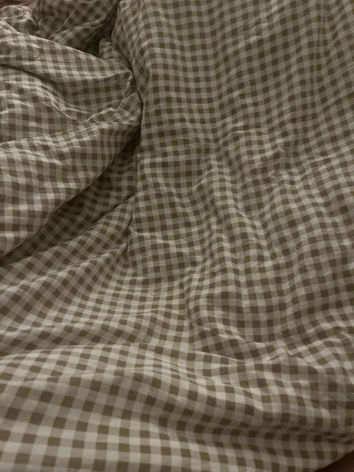 NSNLGSGC Sage Green Gingham Weighted Blanket Cover, 48