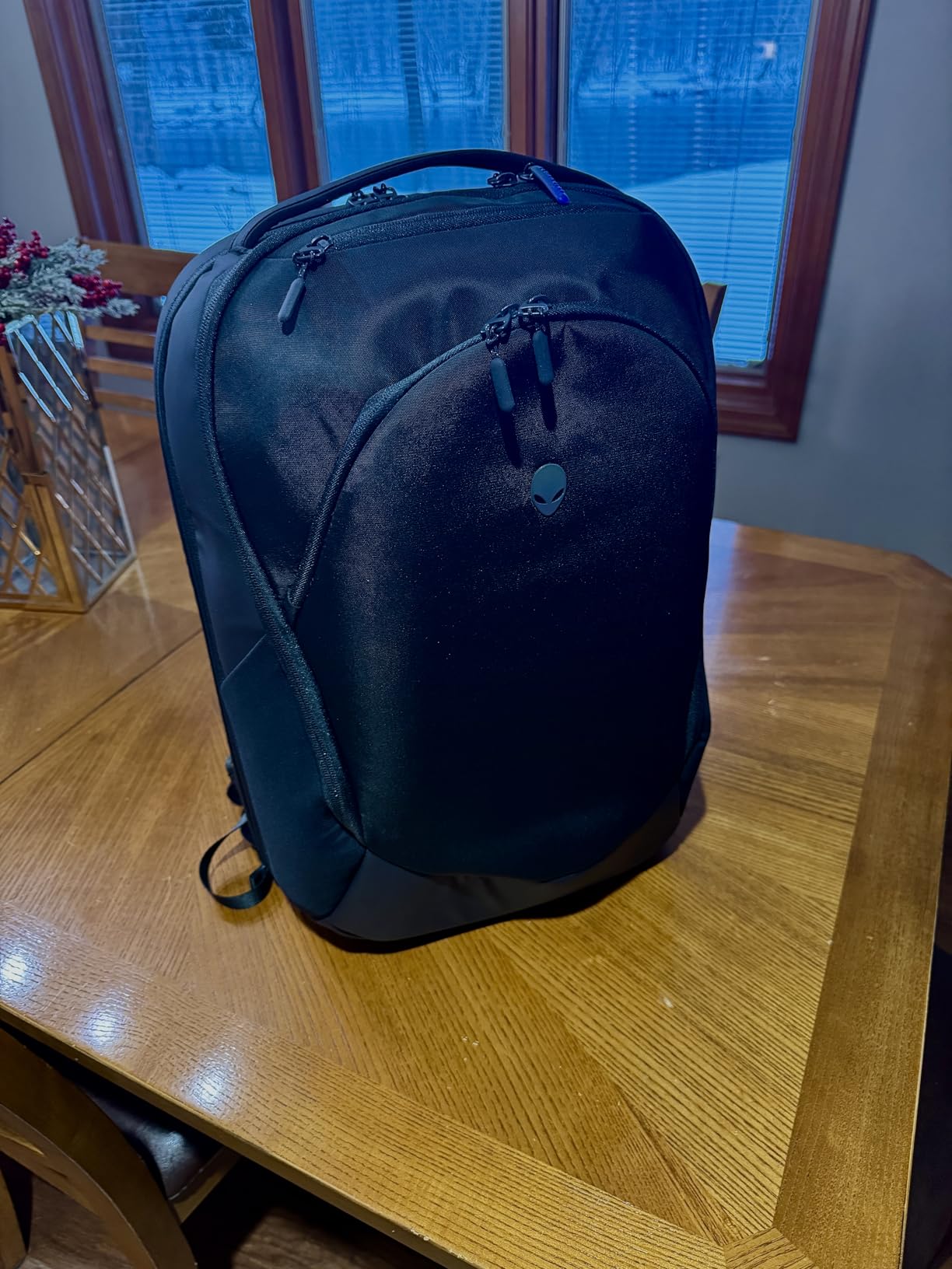 Alienware Laptop Backpack AW5625P, 16in, Water Resistant customer photo 1