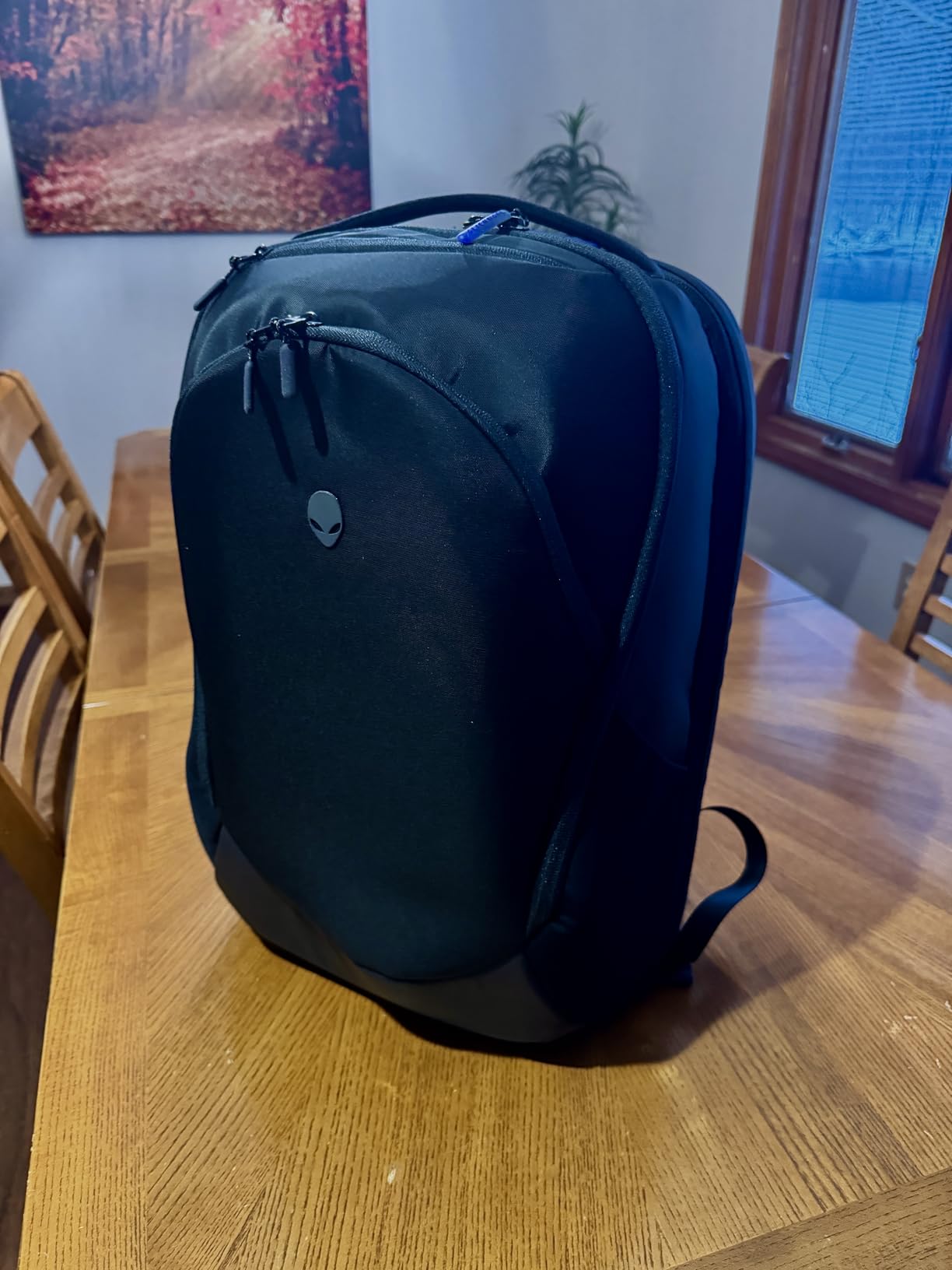 Alienware Laptop Backpack AW5625P, 16in, Water Resistant customer photo 2