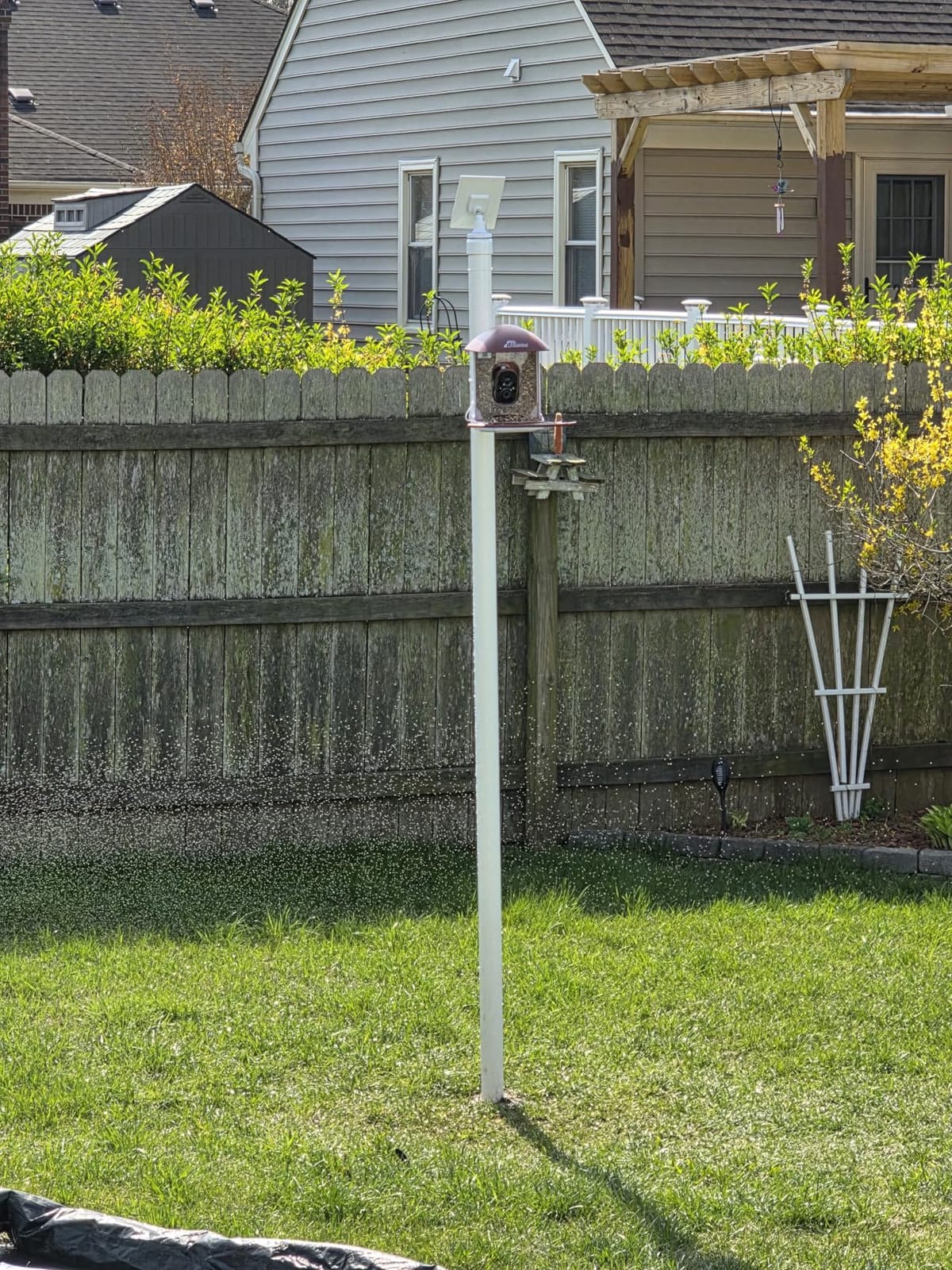 Smart Bird Feeder with Camera Solar Powered, 2.5K UHD Birdwatching Cam, with Free AI Bird Identification, Instant Notifications & Auto Video Capture, Brown customer photo 1