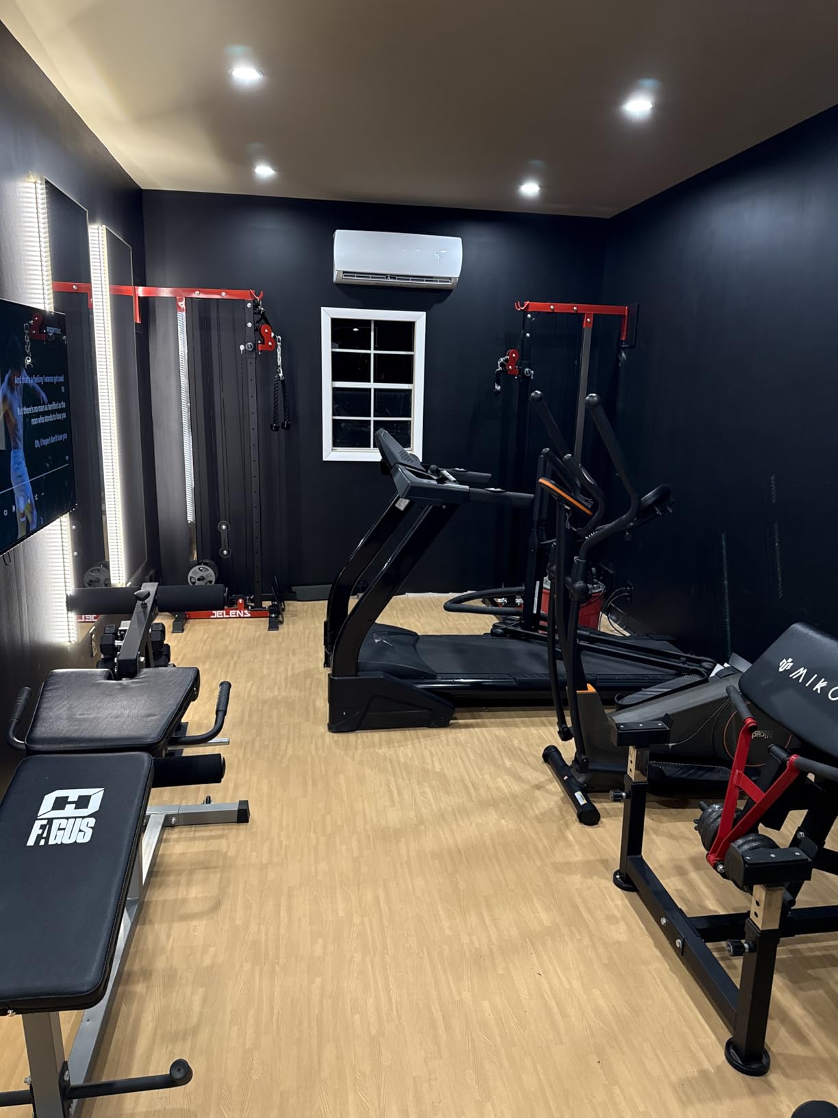 JELENS RC01 2 in 1 Rowing Cable Machine, Wall-Mounted LAT Pulldown Machine, 16 Adjustable Positions, Home Gym Pulley System with Training Attachments customer photo 1