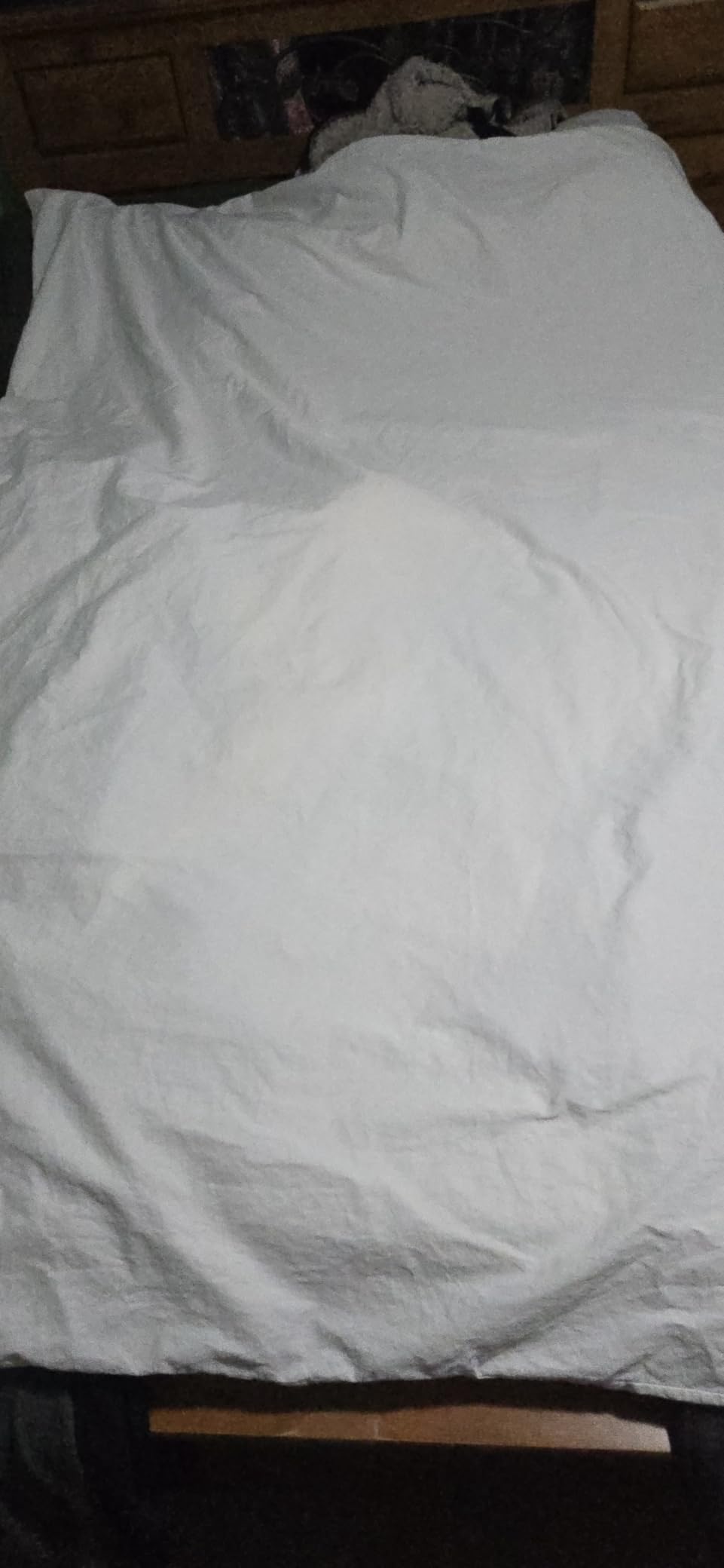 KKJIAF Grey Cotton Duvet Cover for Weighted Blanket 48