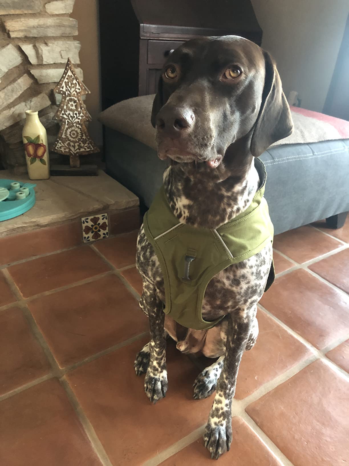 Ruffwear, Overcoat Fuse Insulated Vest & Harness, Cedar Green, Medium customer photo 2