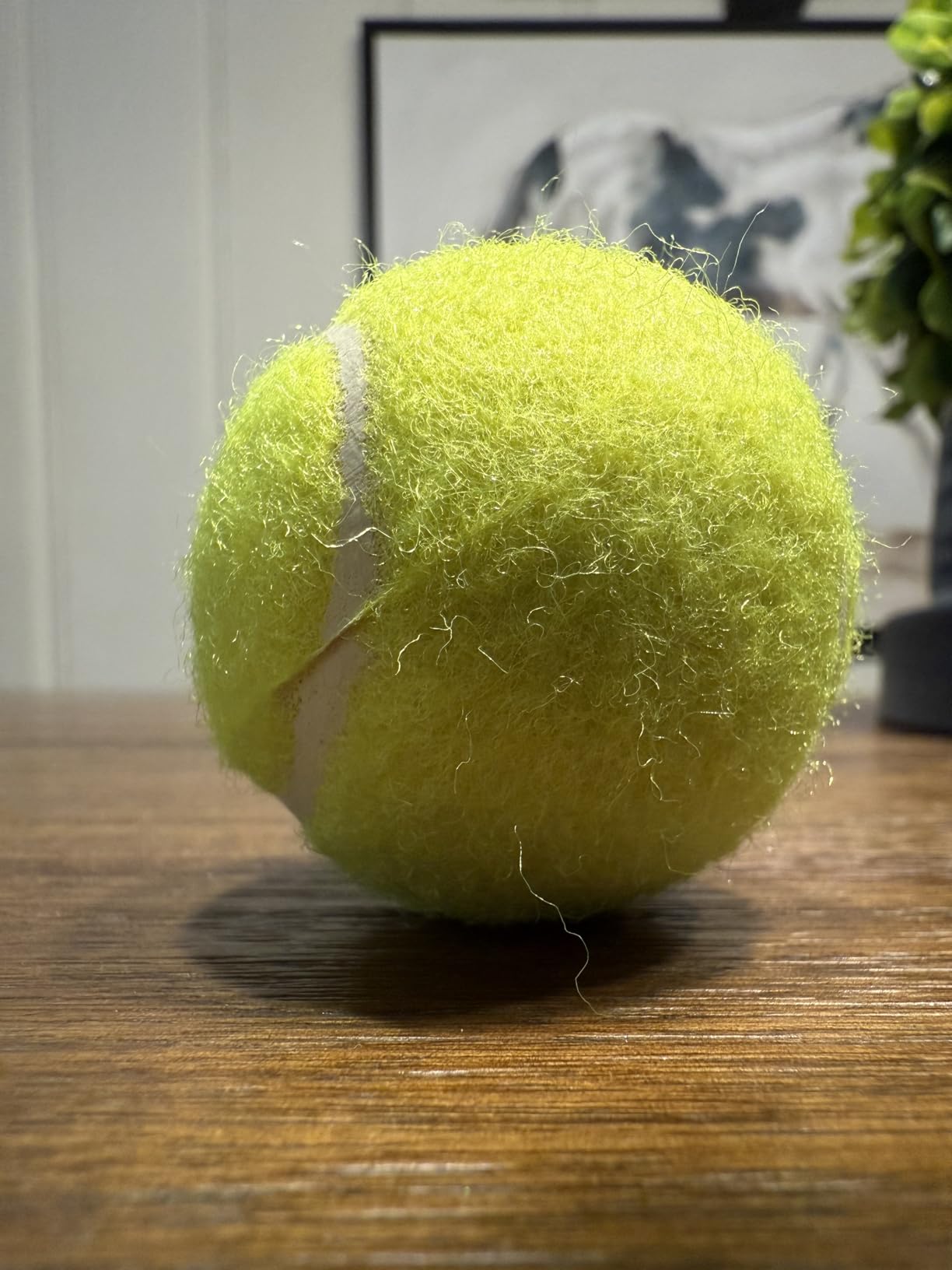 Automatic Dog Ball Launcher: Upgraded Auto/Manual Pet Ball Thrower Toy for Dog Indoor/Outdoor Play Include 4 Chew-Resistant Balls - Home,Park,Yard Dog Self Play Companion for Dog Parent (Blue) customer photo 1