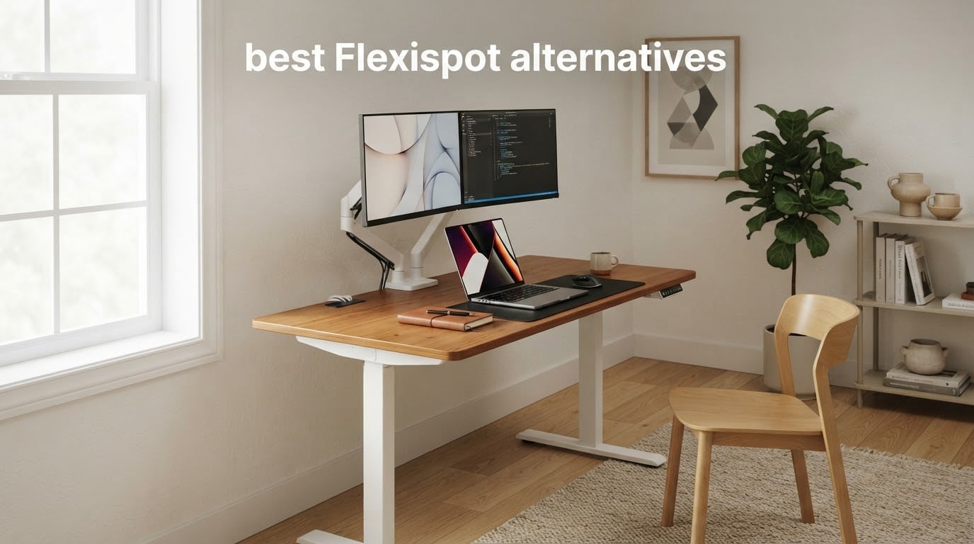 best Flexispot alternatives