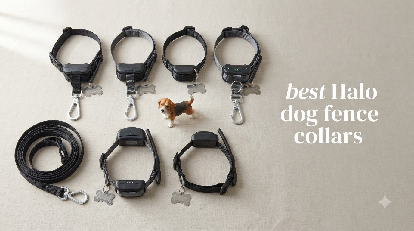 best Halo dog fence collars