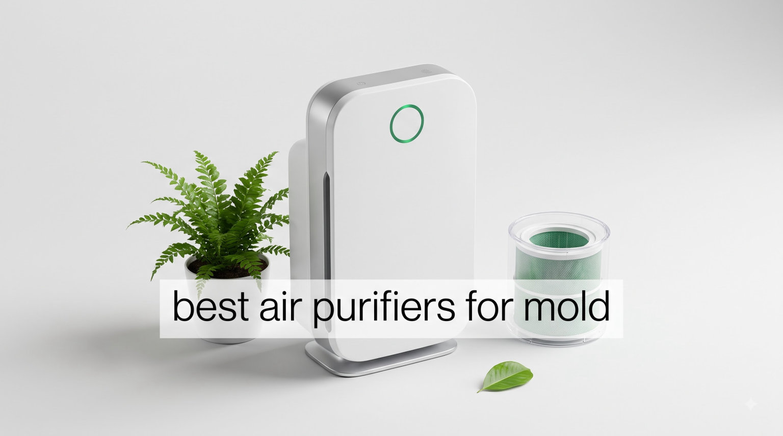 best air purifiers for mold