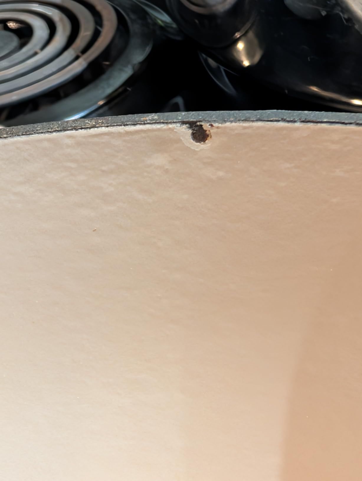 Lodge 6-Quart Dutch Oven customer photo 2