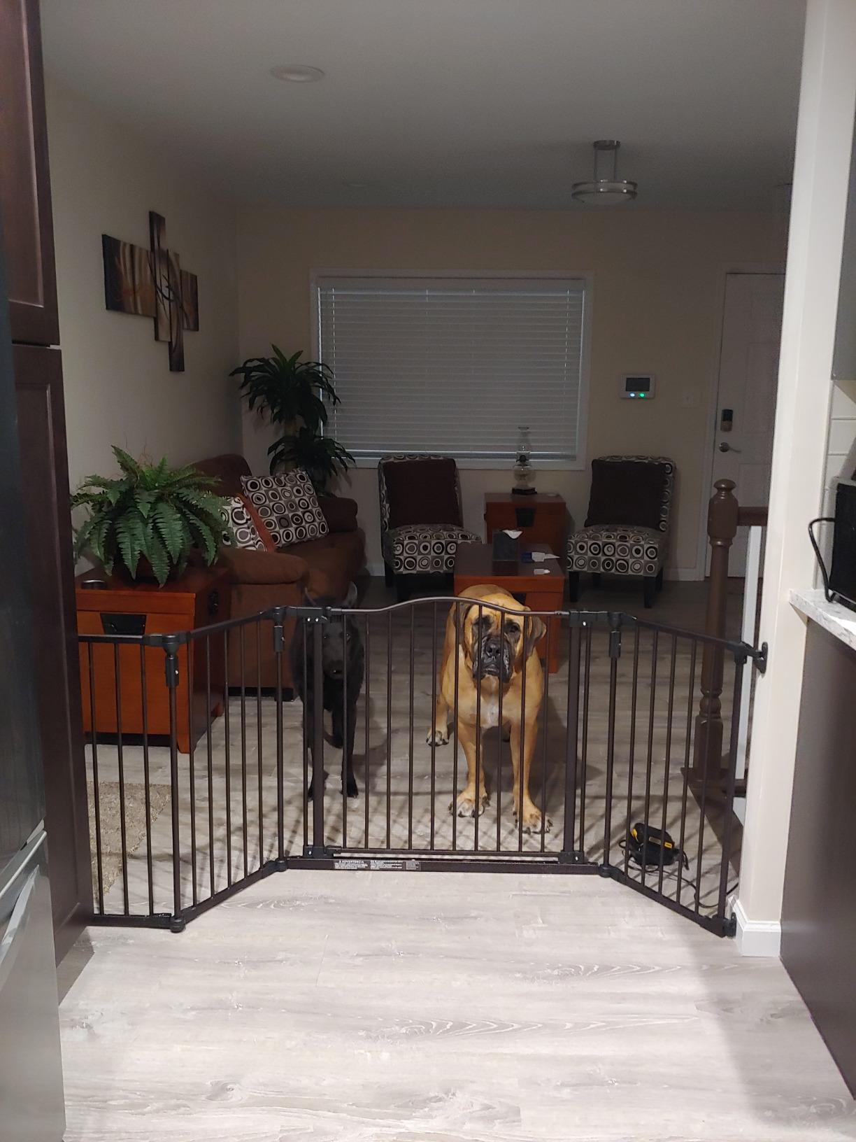 Toddleroo by North States - Deluxe Décor Safety Gate: Hardware Mounted Extra Wide Metal Baby Gate - Adjustable Child Gate - 38.3 to 72 Inches Wide - 30 Inches Tall - Matte Bronze customer photo 1