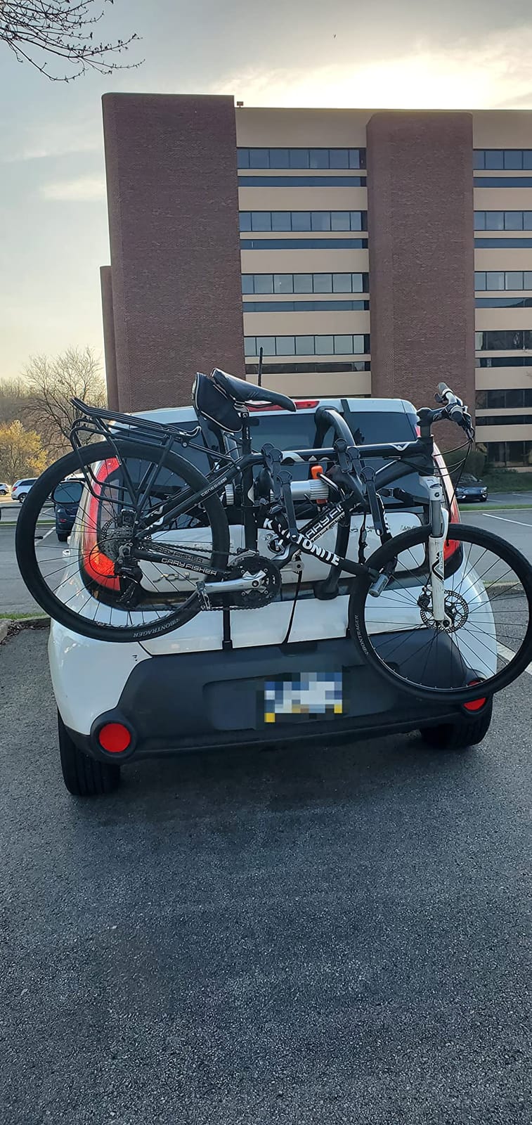 Saris Bones 3-Bike Trunk Rack Bicycle Carrier, Durable, Rust-Free, Anti-Sway Straps, Fits Most Vehicles, Made in USA, Arc-Based Design, 100% Recyclable Materials customer photo 1
