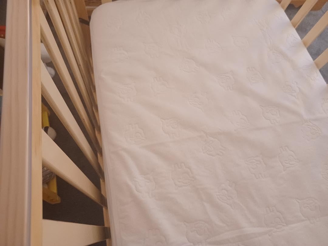Dream On Me Synergy 5-in-1 Crib, Toddler Bed in Natural customer photo 2