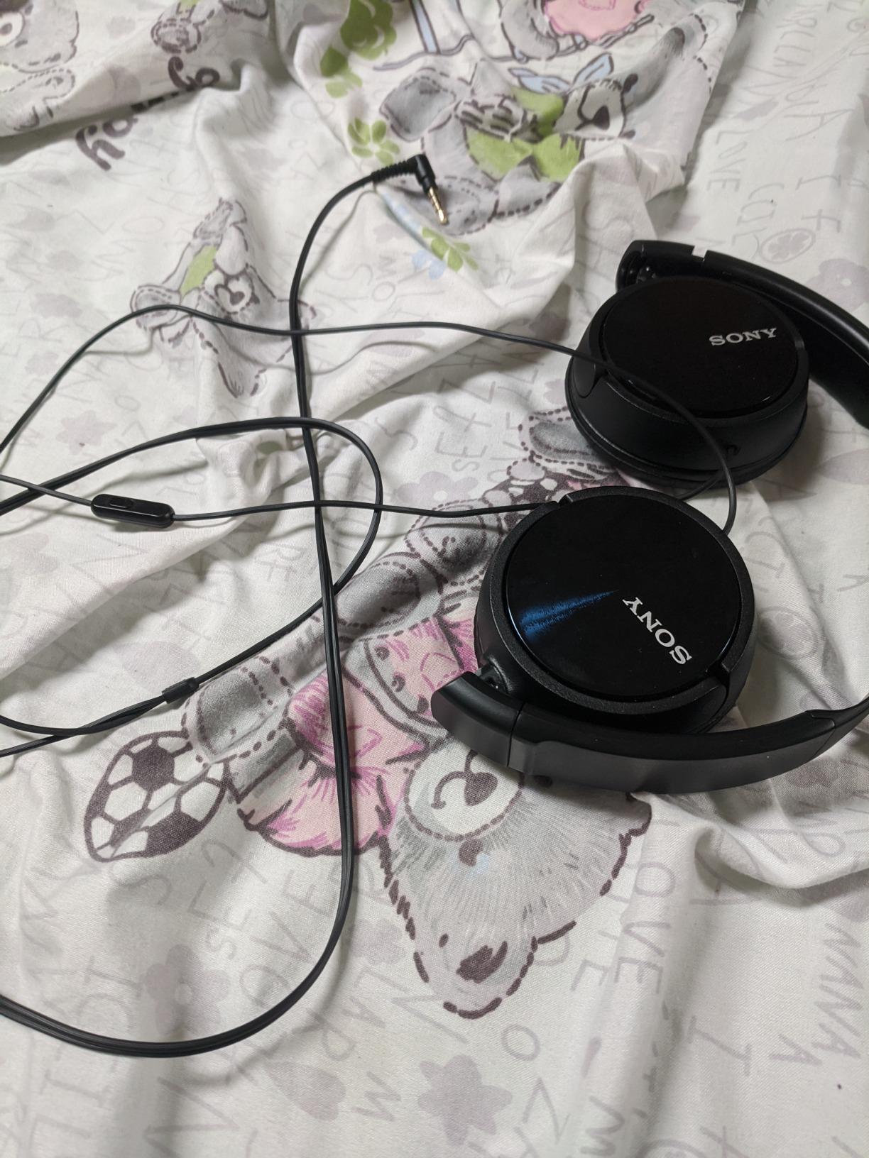Sony MDR-ZX310AP customer photo 2