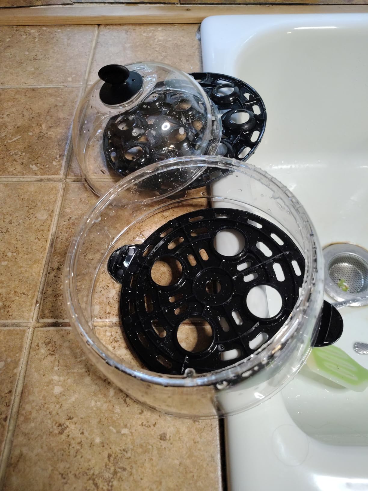 Dash Deluxe Egg Cooker customer photo 1