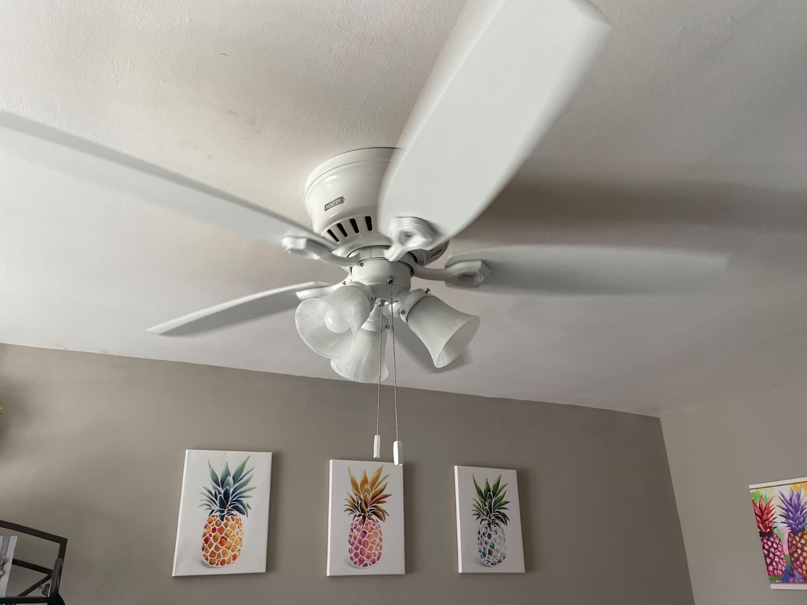 Hunter Builder, Indoor, Ceiling Fan, with LED Lights, 52 inch, Snow White customer photo 2