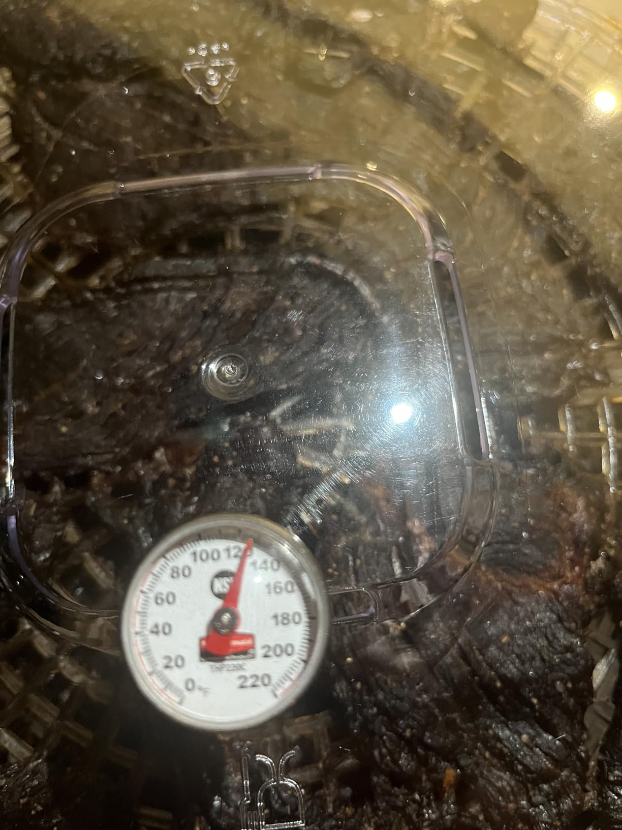 Nutrichef Food Dehydrator Machine | Dehydrates Beef Jerky, Meat, Food, Fruit, Vegetables & Dog Treats | Great For At Home Use | High-Heat Circulation for Even Dehydration | 5 Easy to Clean Trays customer photo 1
