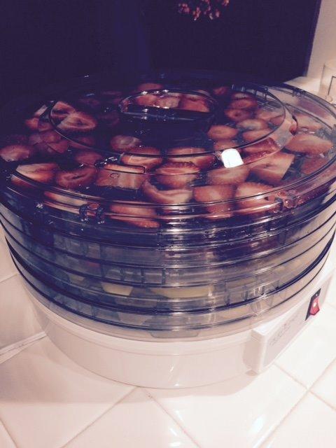 Nutrichef Food Dehydrator Machine | Dehydrates Beef Jerky, Meat, Food, Fruit, Vegetables & Dog Treats | Great For At Home Use | High-Heat Circulation for Even Dehydration | 5 Easy to Clean Trays customer photo 2