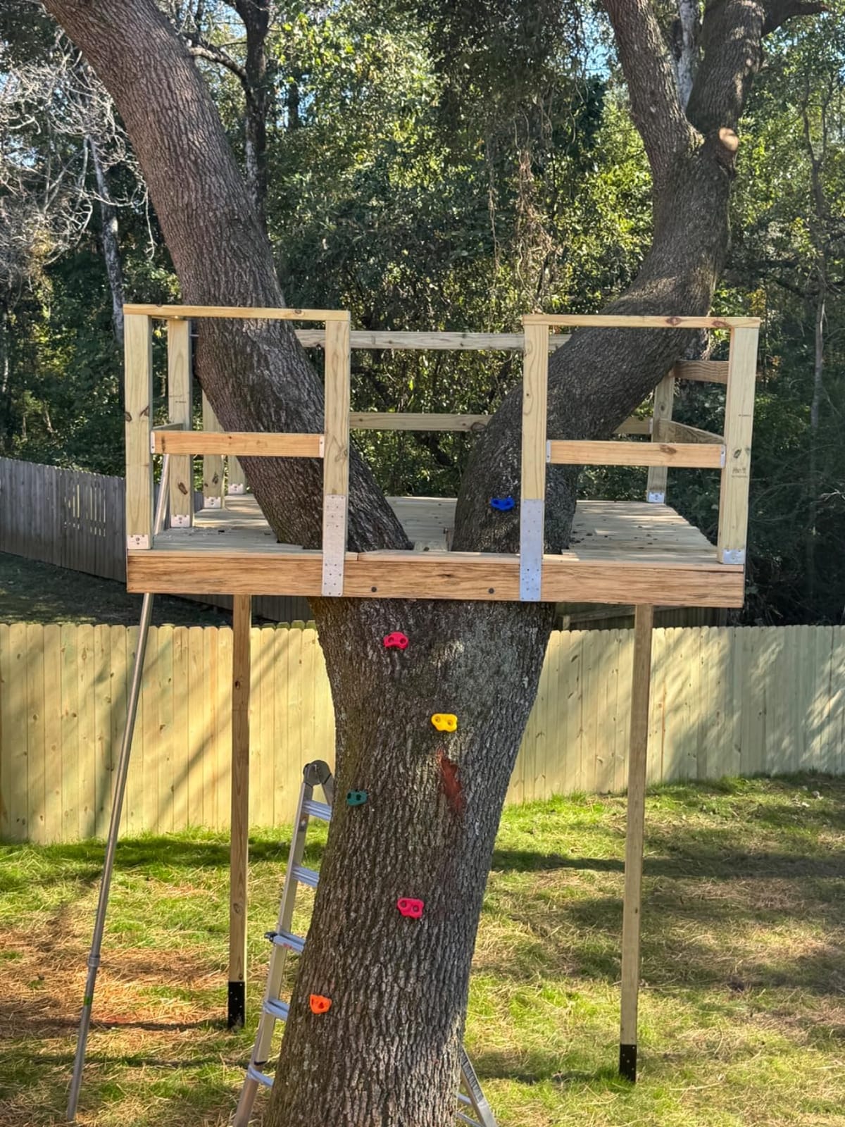 Squirrel Products Rock Climbing Holds for Kids, Deluxe Extra Large Climbing Rocks with Mounting Hardware - DIY Rock Wall Indoor & Outdoor Playground Accessories Wall Climbing Kit - Ages 3+ customer photo 1